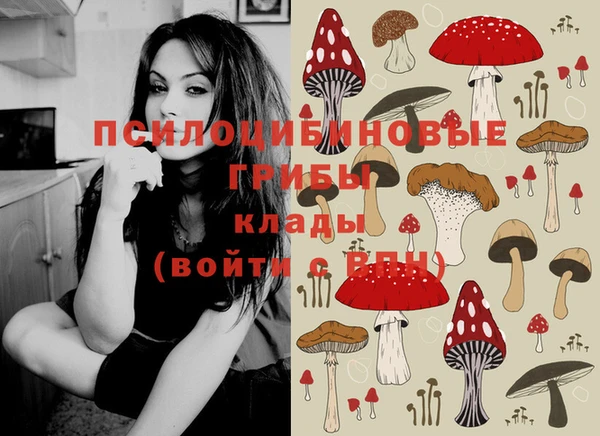 соль ск Богданович