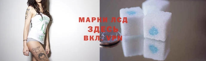 соль ск Богданович