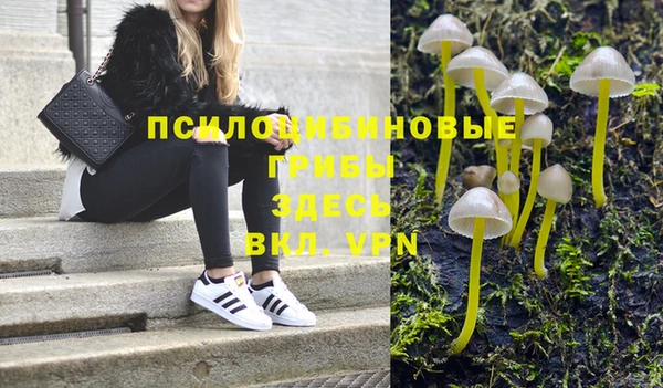 амфетамин Богородицк