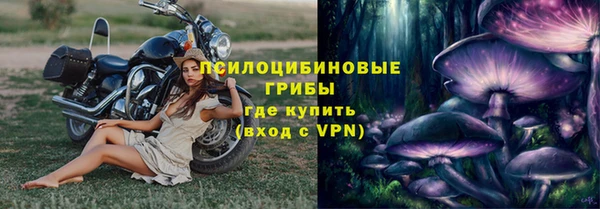 соль ск Богданович