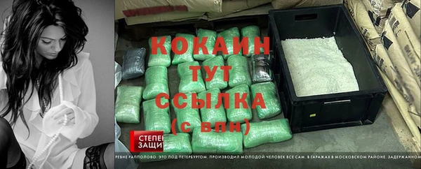 спиды Богородск