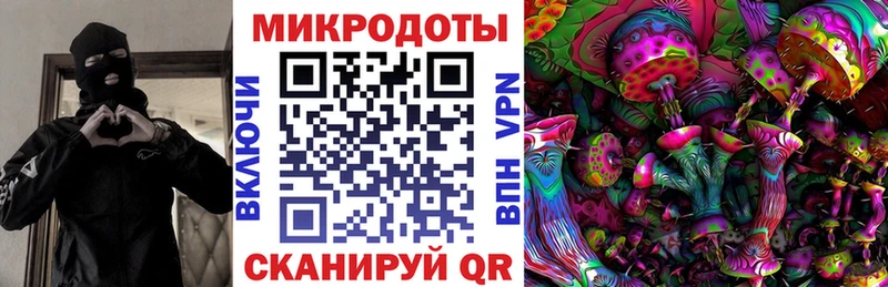 KRAKEN маркетплейс  цены   Туран  Псилоцибиновые грибы Psilocybine cubensis 